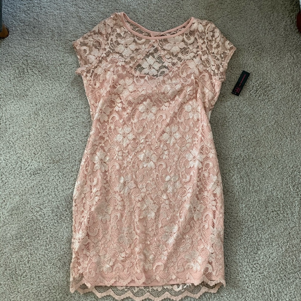 Baby Pink Lace Dress XL